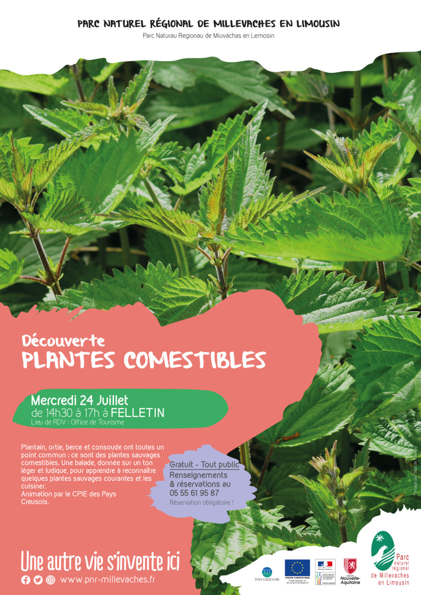 thumbnail of 2020_07_24_plantes comestibles