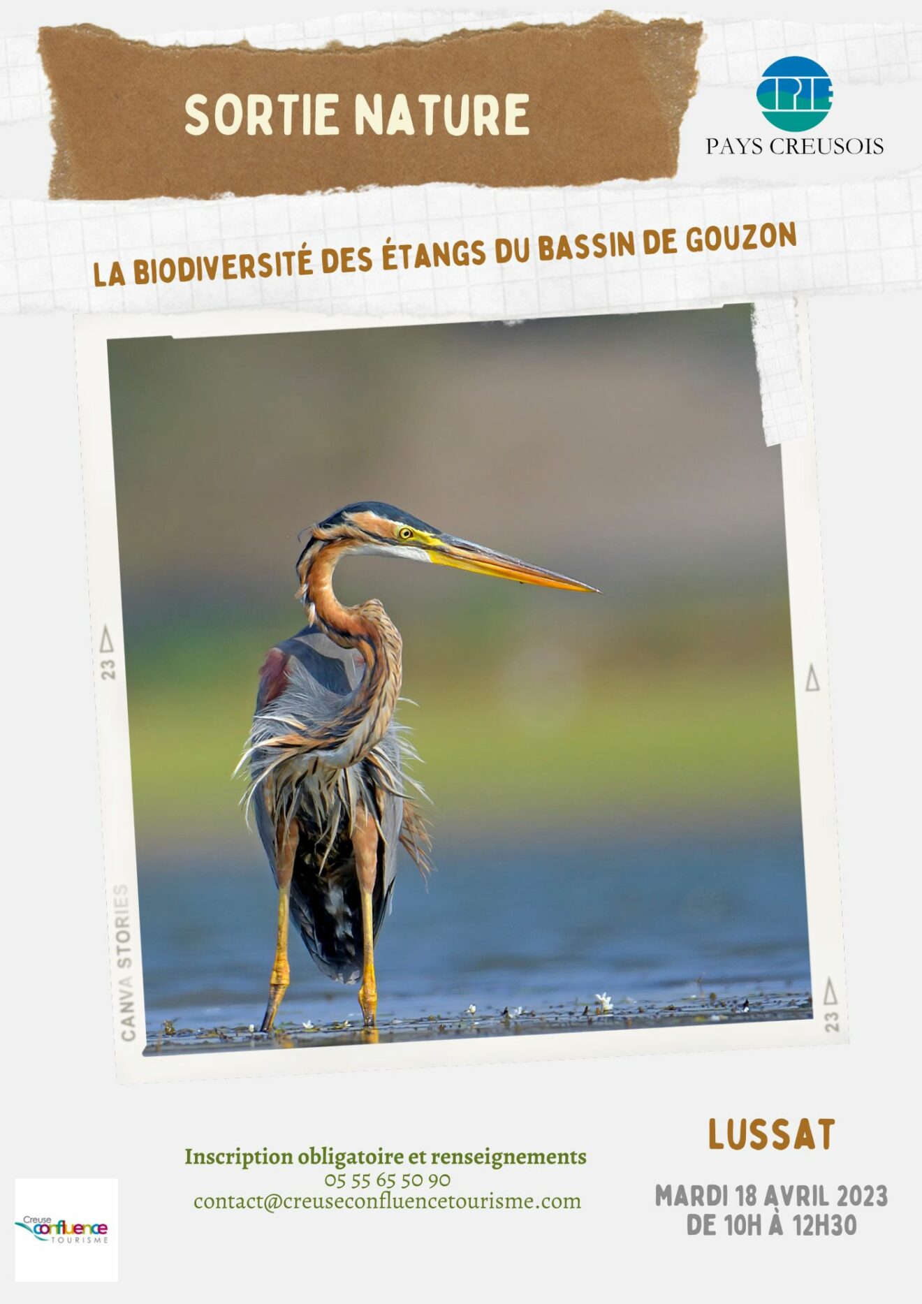 La biodiversité des étangs du bassin de Gouzon