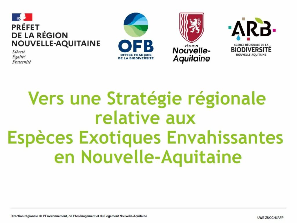 Vers une Stratégie régionale relative aux EEE en Nouvelle-Aquitaine