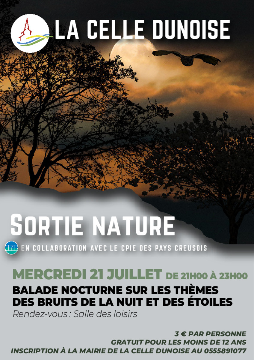 thumbnail of Flyer ballade nocturne