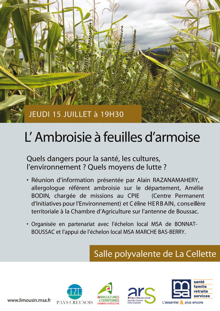 thumbnail of affiche ambroisie La Cellette (1)