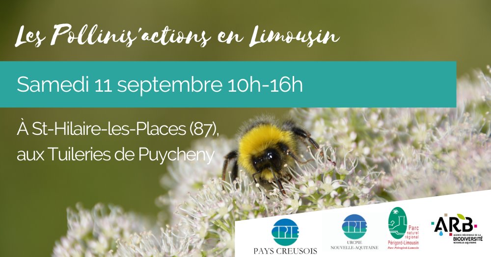Les Pollinis’actions en Limousin