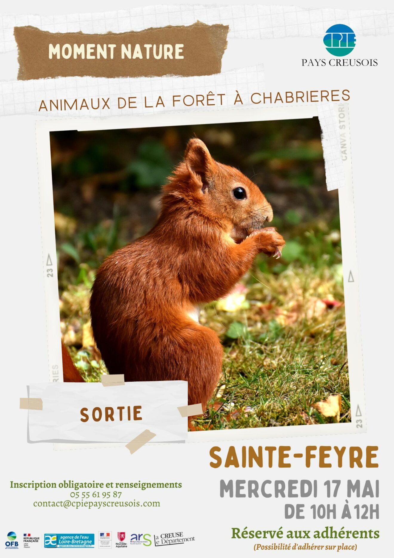animaux de la forêt à Chabrières