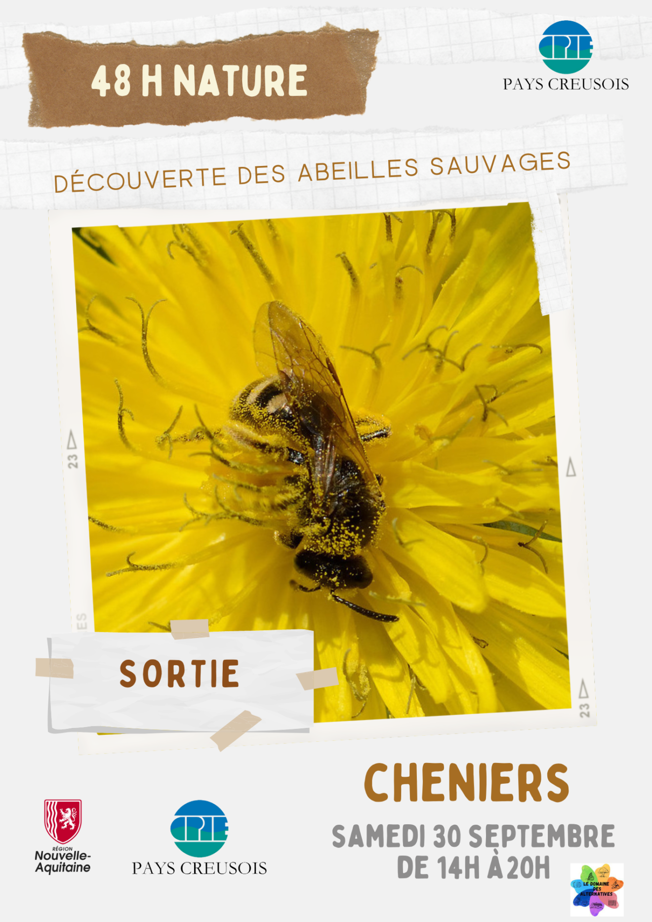 48h Nature ! - Découverte des abeilles sauvages